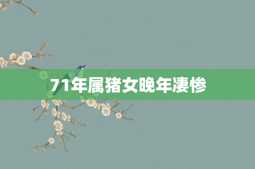 71年属猪女晚年凄惨