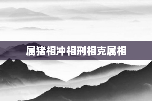 属猪相冲相刑相克属相