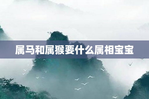 属马和属猴要什么属相宝宝