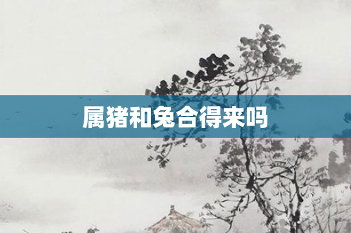 属猪和兔合得来吗