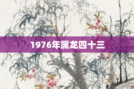 1976年属龙四十三