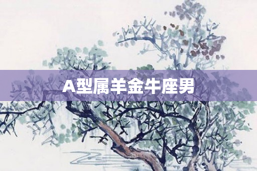 A型属羊金牛座男