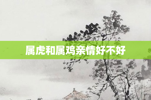 属虎和属鸡亲情好不好