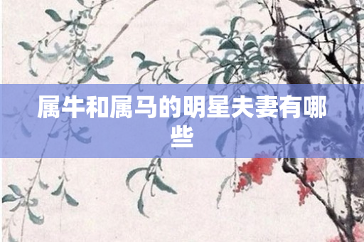 属牛和属马的明星夫妻有哪些