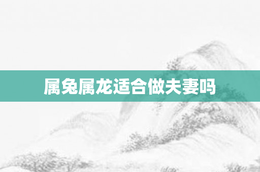 属兔属龙适合做夫妻吗