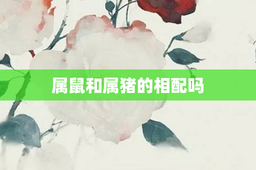 属鼠和属猪的相配吗