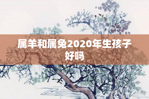 属羊和属兔2020年生孩子好吗