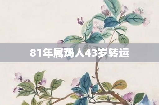 81年属鸡人43岁转运