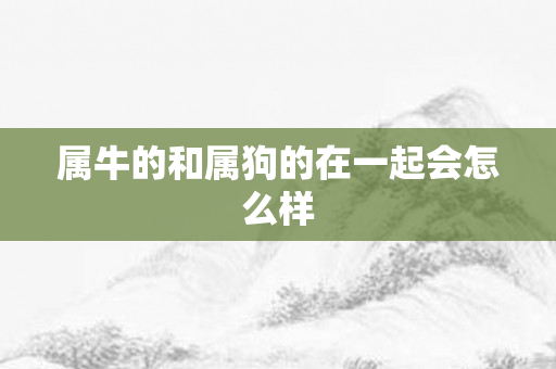 属牛的和属狗的在一起会怎么样