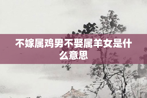 不嫁属鸡男不娶属羊女是什么意思
