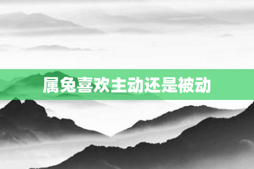 属兔喜欢主动还是被动