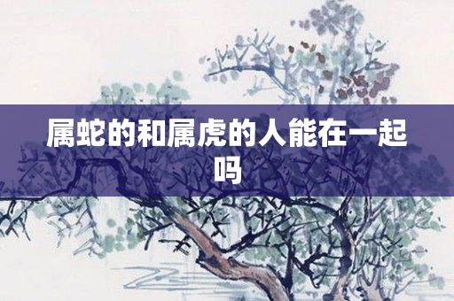 属蛇的和属虎的人能在一起吗