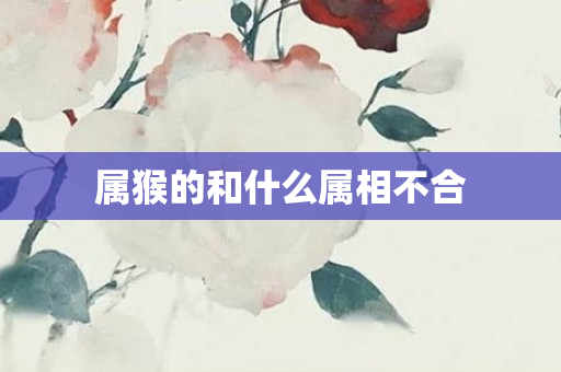属猴的和什么属相不合
