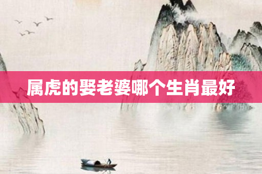 属虎的娶老婆哪个生肖更好