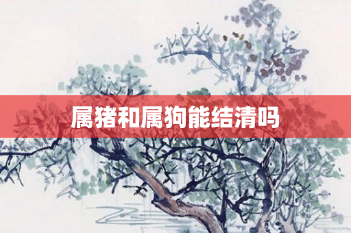 属猪和属狗能结清吗
