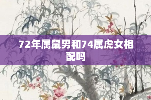 72年属鼠男和74属虎女相配吗