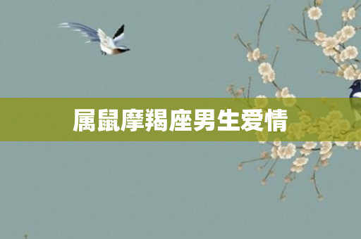 属鼠摩羯座男生爱情