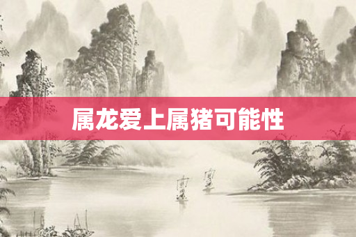 属龙爱上属猪可能性