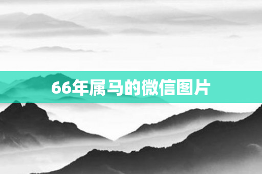 66年属马的微信图片