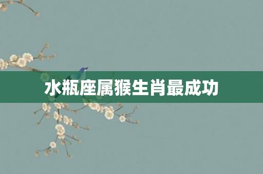 水瓶座属猴生肖最成功