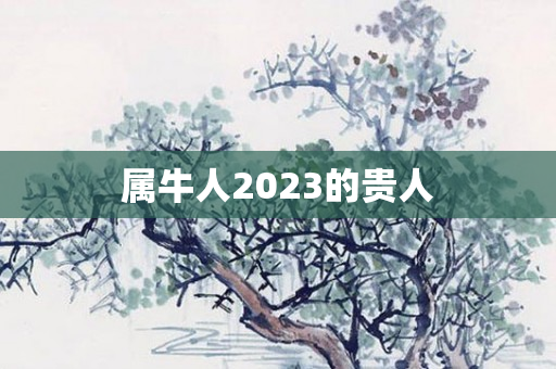 属牛人2023的贵人