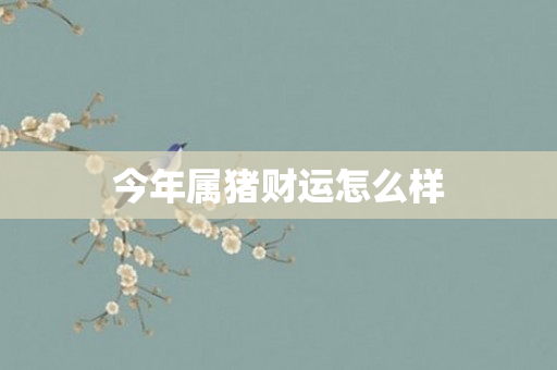 今年属猪财运怎么样