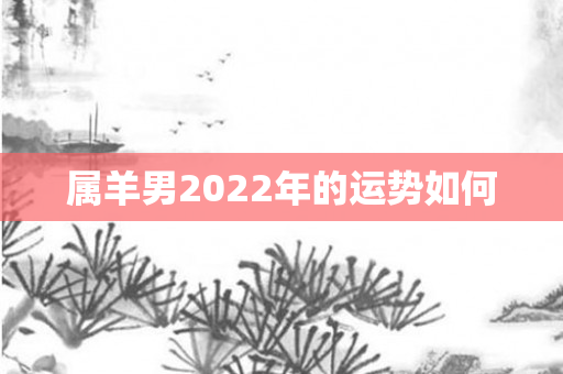 属羊男2022年的运势如何
