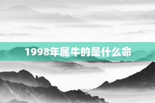 1998年属牛的是什么命