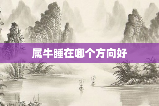 属牛睡在哪个方向好