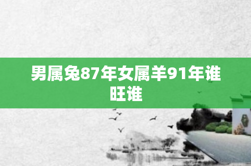 男属兔87年女属羊91年谁旺谁