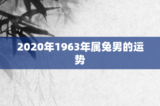 2020年1963年属兔男的运势