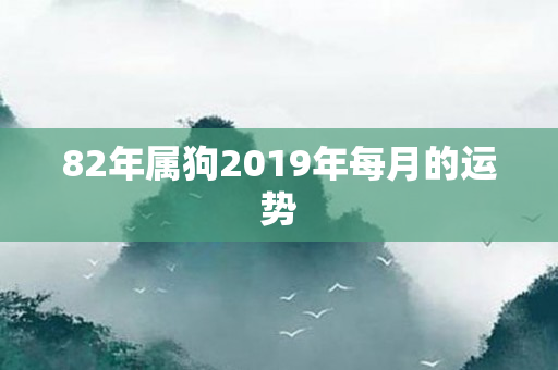 82年属狗2019年每月的运势