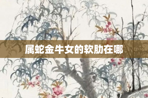 属蛇金牛女的软肋在哪