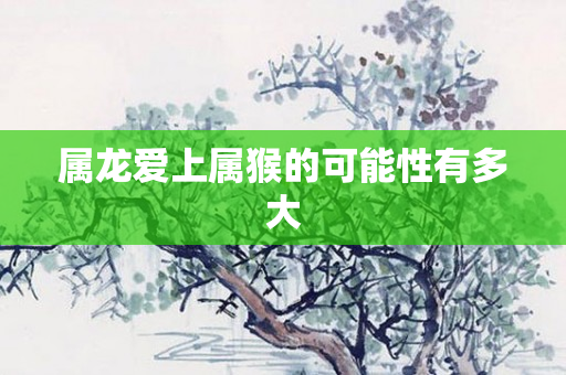 属龙爱上属猴的可能性有多大
