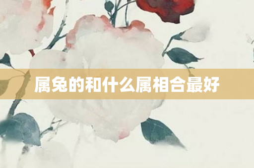 属兔的和什么属相合更好