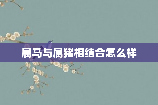 属马与属猪相结合怎么样