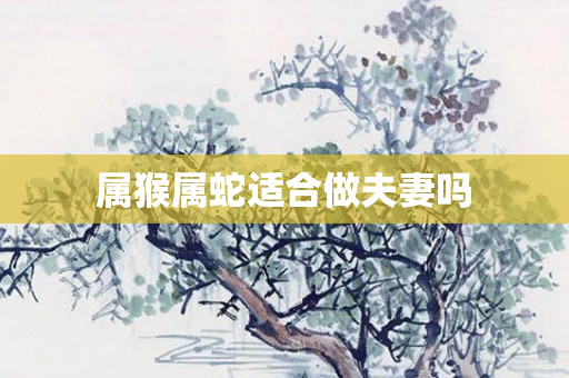 属猴属蛇适合做夫妻吗