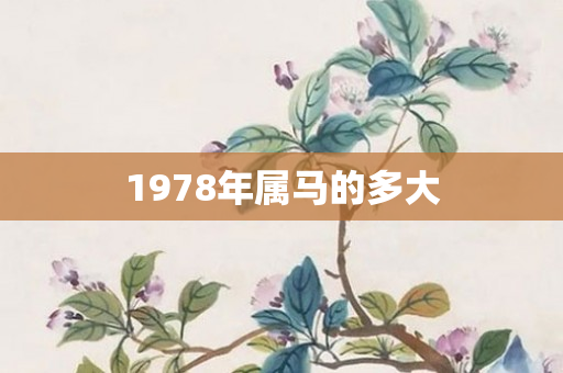 1978年属马的多大