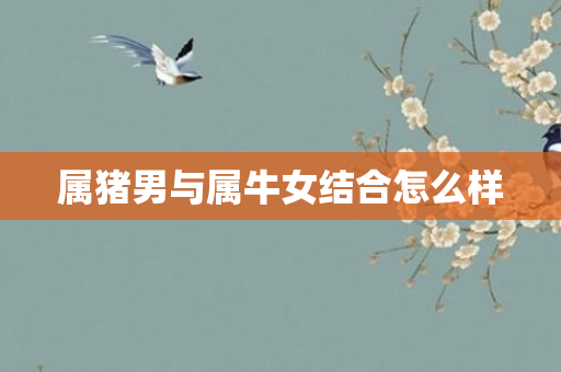 属猪男与属牛女结合怎么样