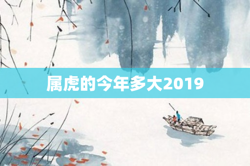 属虎的今年多大2019