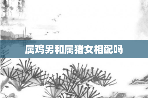 属鸡男和属猪女相配吗