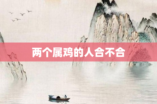 两个属鸡的人合不合