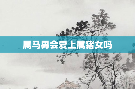属马男会爱上属猪女吗
