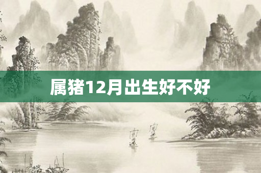 属猪12月出生好不好