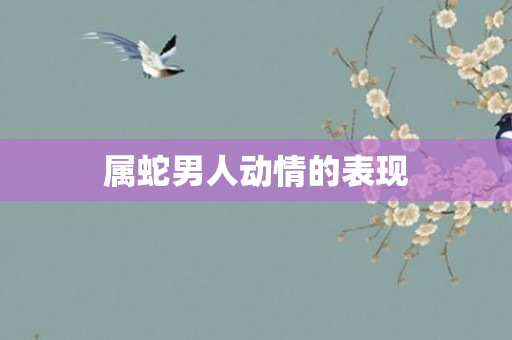 属蛇男人动情的表现