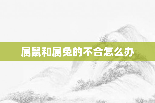 属鼠和属兔的不合怎么办