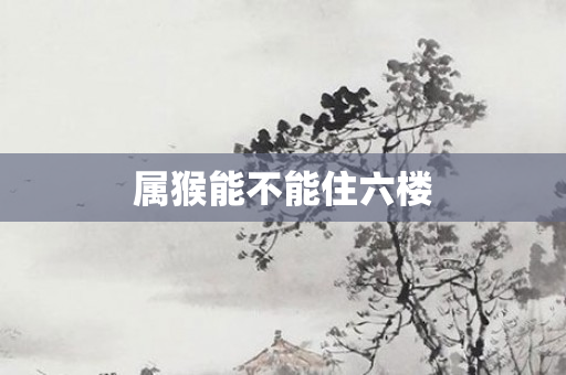 属猴能不能住六楼
