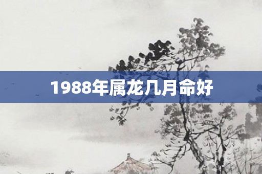 1988年属龙几月命好