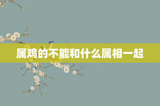属鸡的不能和什么属相一起