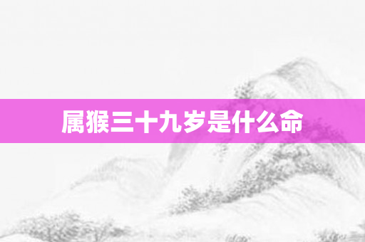 属猴三十九岁是什么命